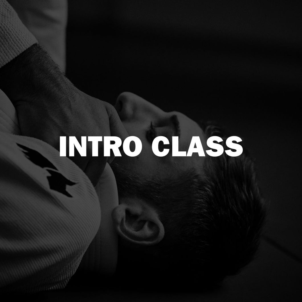 INTRO CLASS