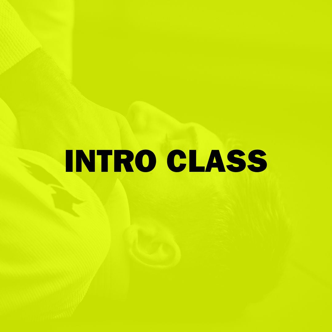 product-color-INTRO CLASS